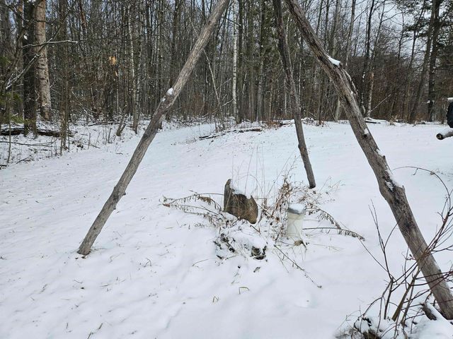 5200 N Old State Road, Harrison, MI 48625