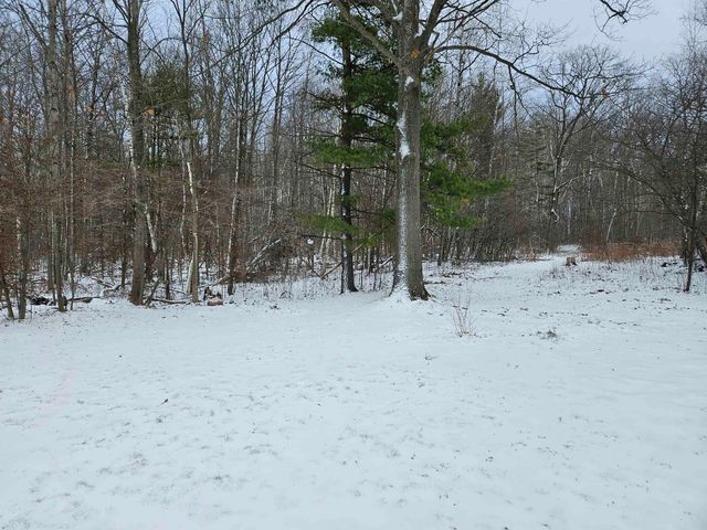 5200 N Old State Road, Harrison, MI 48625