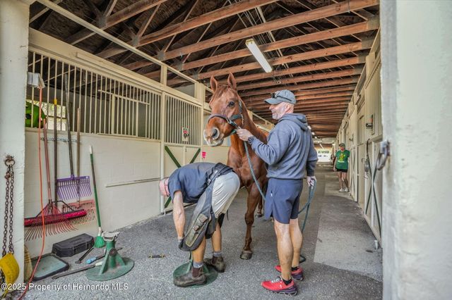 5374 N SONORA Terrace, Beverly Hills, FL 34465