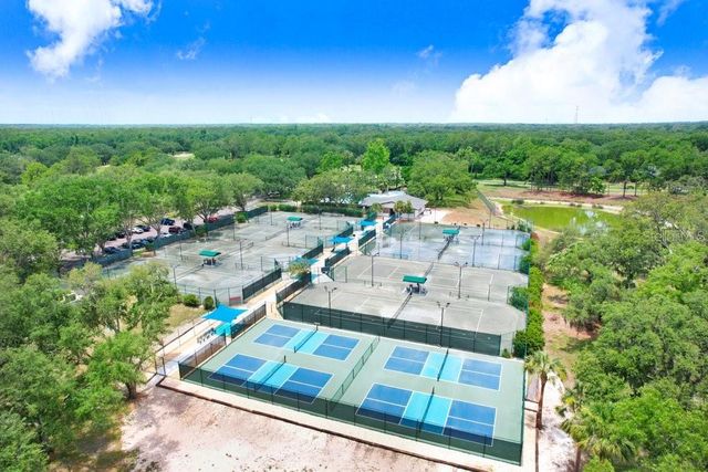 5326 TWIN CREEKS DRIVE, Valrico, FL 33596