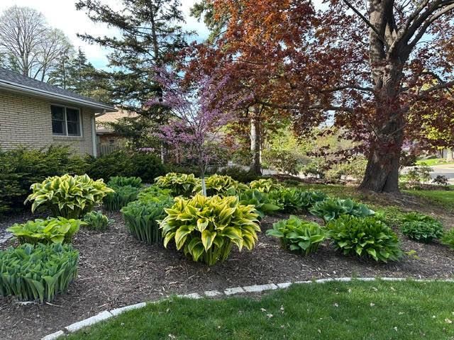 2451 Sheldon Street, Roseville, MN 55113