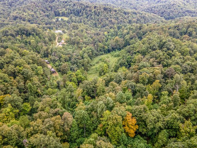 2451 Dog Trot Road, Frenchburg, KY 40322