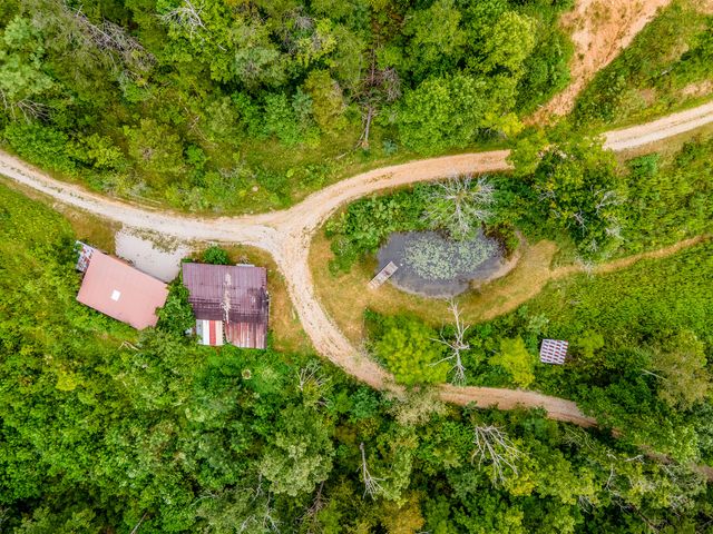 2451 Dog Trot Road, Frenchburg, KY 40322