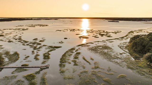 1358 Polly Point Road, Wadmalaw Island, SC 29487