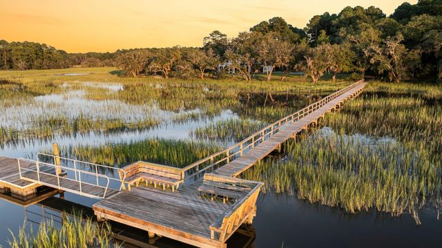 1358 Polly Point Road, Wadmalaw Island, SC 29487
