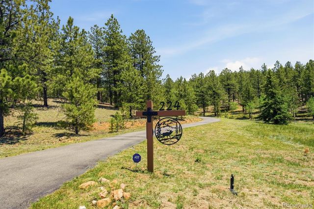 224 Hangman Road, Bailey, CO 80421