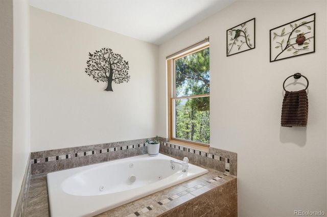 224 Hangman Road, Bailey, CO 80421