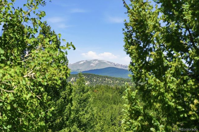 224 Hangman Road, Bailey, CO 80421