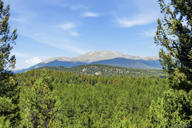 224 Hangman Road, Bailey, CO 80421