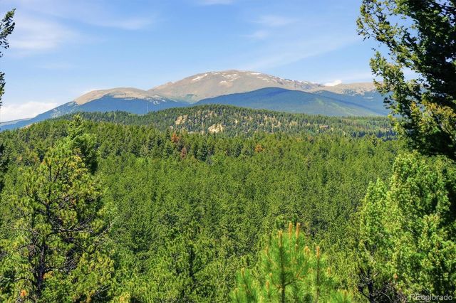 224 Hangman Road, Bailey, CO 80421