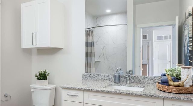 19101 Town Ridge Lane 4106, Webster, TX 77598