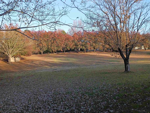 540 WILLOUGHBY LOOP, Savannah, TN 38372