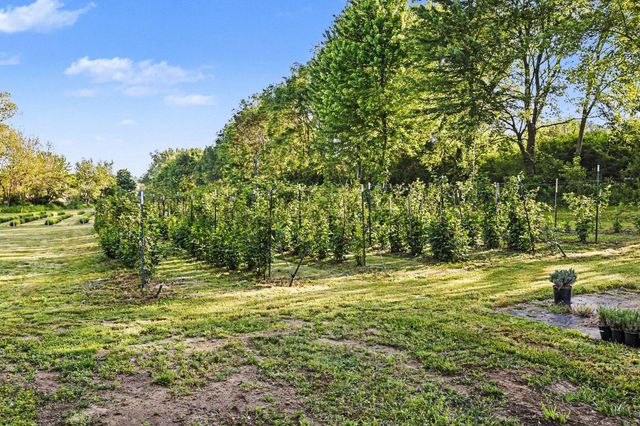 2175 E Hinchman Road, Berrien Springs, MI 49103