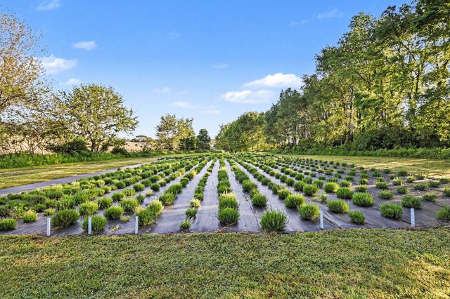 2175 E Hinchman Road, Berrien Springs, MI 49103