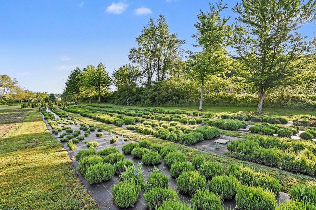 2175 E Hinchman Road, Berrien Springs, MI 49103
