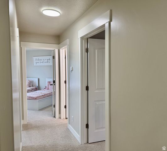 1151 S 550 E, Payson, UT 84651