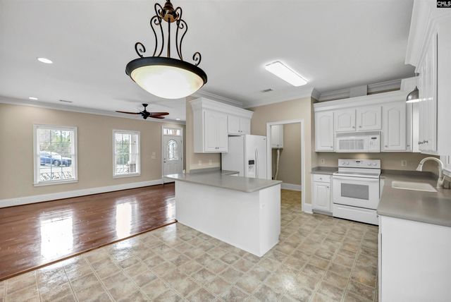 223 Ivy Park Lane, Lexington, SC 29072