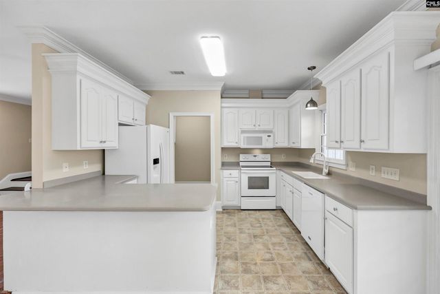 223 Ivy Park Lane, Lexington, SC 29072