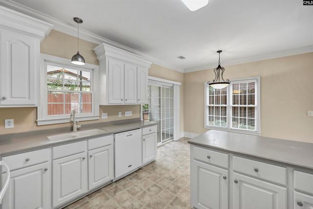 223 Ivy Park Lane, Lexington, SC 29072