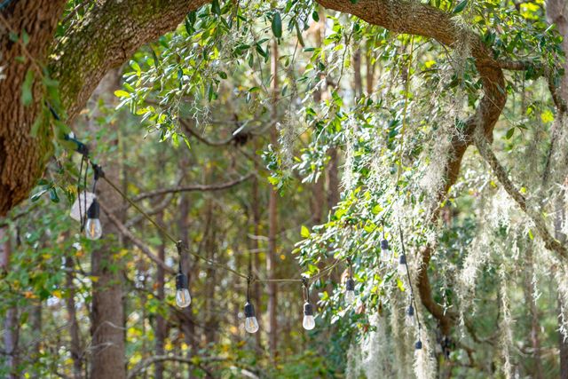 2205 Des Arc Road, Johns Island, SC 29455