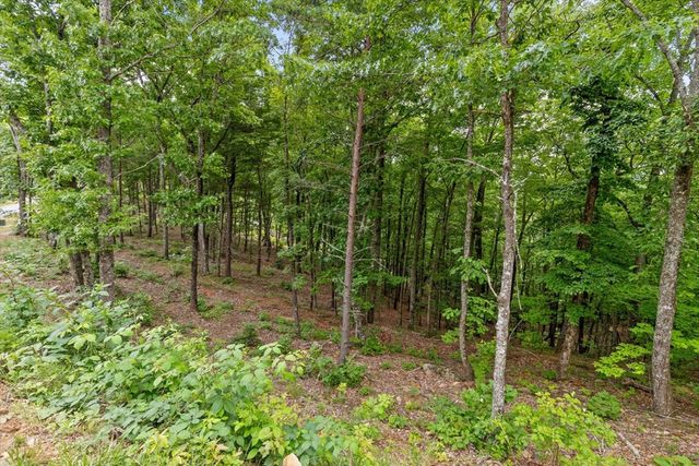 Lot 414 Calloway Mountain Road, Talking Rock, GA 30175
