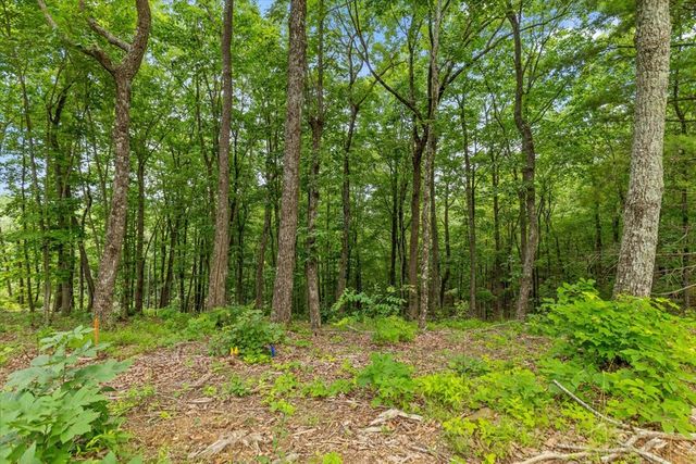 Lot 414 Calloway Mountain Road, Talking Rock, GA 30175