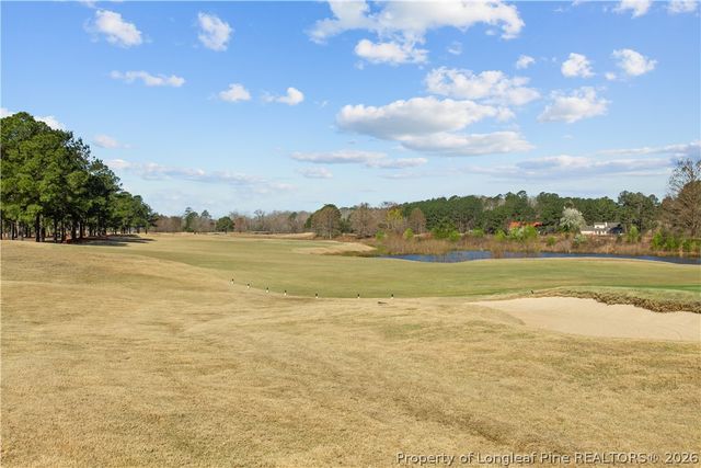 656 Riverbirch Drive, Vass, NC 28394