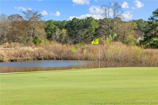 656 Riverbirch Drive, Vass, NC 28394