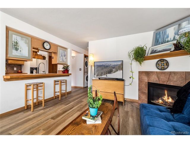 14 Crystal Cv C14, Dillon, CO 80435