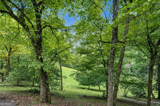 4616 & 4237 Crow Creek Road, Lakemont, GA 30552