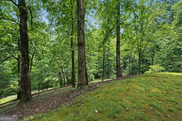 4616 & 4237 Crow Creek Road, Lakemont, GA 30552