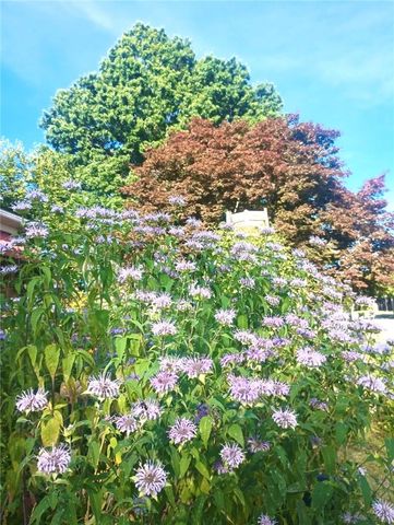 113 E LEASURE AVENUE, New Castle, PA 16101