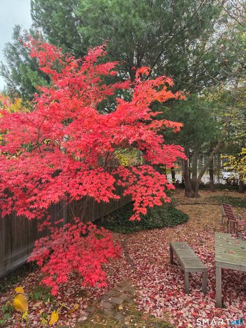 258 Saint John Street, New Haven, CT 06511