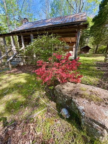 562 Junus Jackson Hollow Rd, Minor Hill, TN 38473