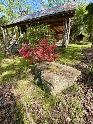 562 Junus Jackson Hollow Rd, Minor Hill, TN 38473
