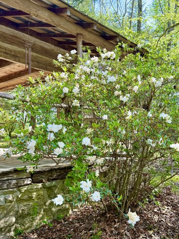 562 Junus Jackson Hollow Rd, Minor Hill, TN 38473