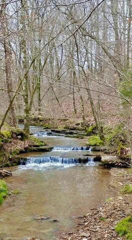 562 Junus Jackson Hollow Rd, Minor Hill, TN 38473