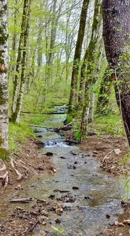 562 Junus Jackson Hollow Rd, Minor Hill, TN 38473