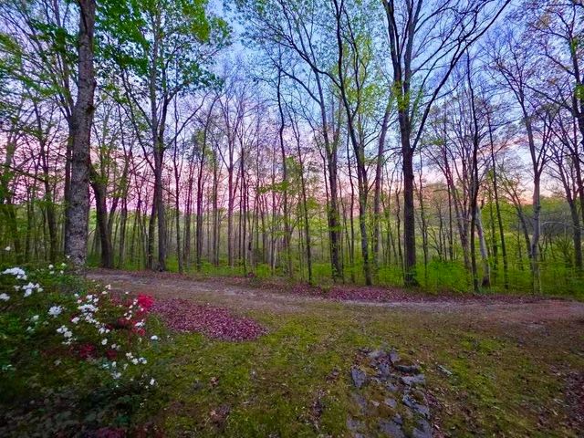 562 Junus Jackson Hollow Rd, Minor Hill, TN 38473