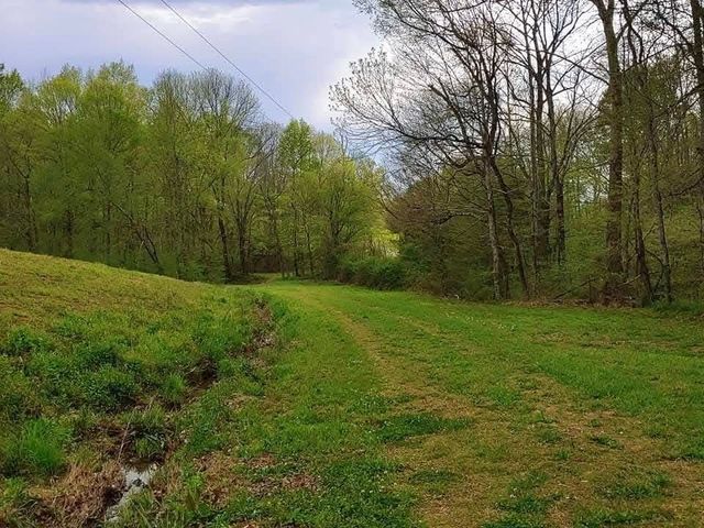 562 Junus Jackson Hollow Rd, Minor Hill, TN 38473