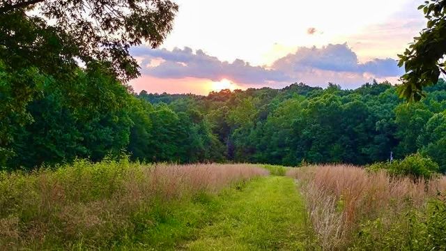 562 Junus Jackson Hollow Rd, Minor Hill, TN 38473