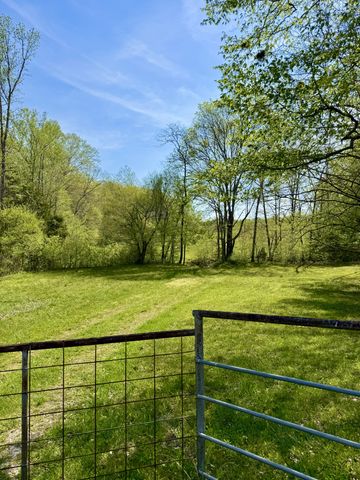 562 Junus Jackson Hollow Rd, Minor Hill, TN 38473