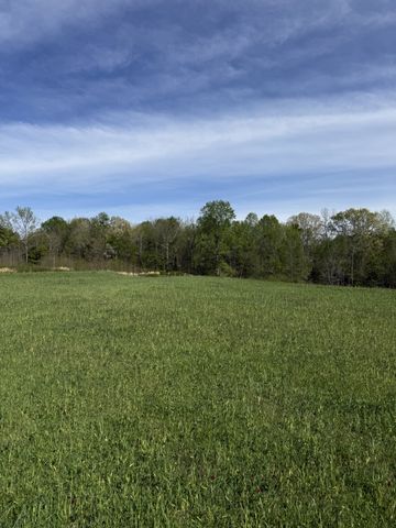 562 Junus Jackson Hollow Rd, Minor Hill, TN 38473