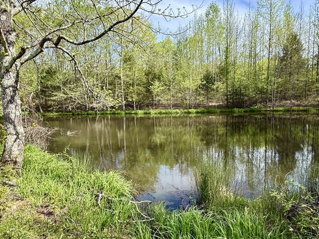 562 Junus Jackson Hollow Rd, Minor Hill, TN 38473