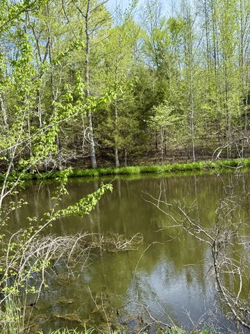 562 Junus Jackson Hollow Rd, Minor Hill, TN 38473