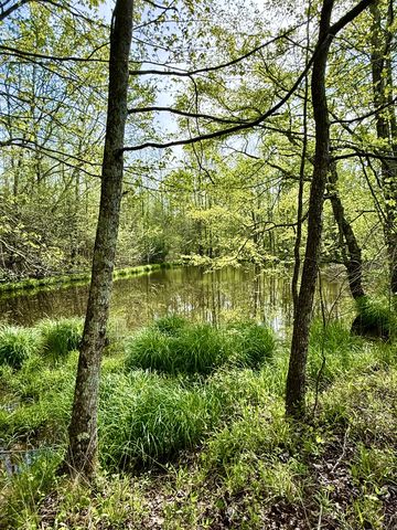 562 Junus Jackson Hollow Rd, Minor Hill, TN 38473