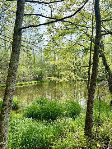 562 Junus Jackson Hollow Rd, Minor Hill, TN 38473