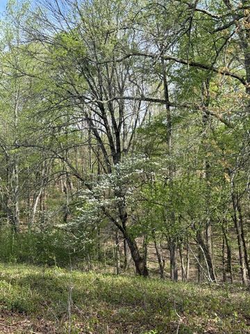562 Junus Jackson Hollow Rd, Minor Hill, TN 38473