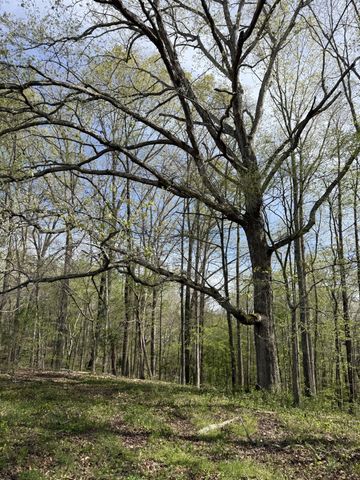 562 Junus Jackson Hollow Rd, Minor Hill, TN 38473