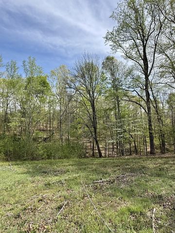 562 Junus Jackson Hollow Rd, Minor Hill, TN 38473